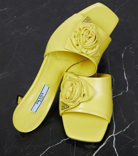prada mules